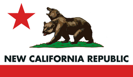 FNV NCR Flag
