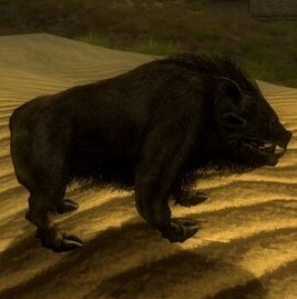 Mutant Javalina