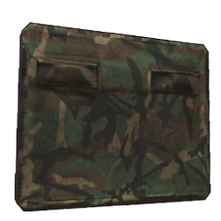 Camo, Roblox Wiki