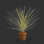 Decorative Plant 2