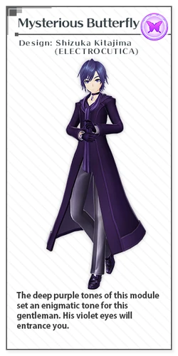 希少　PARADIS #3 2007/08 purple fashion Gloss Purple-Kawasaki ZX-6R/636R 2007-2008 – SpiderFairings