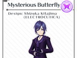 Mysterious Butterfly