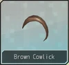 Brown Cowlick F 2nd
