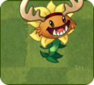 Pl🌲nts vs. Z🧠mbies on X: The #PvZ2 Costume Party Poll has concluded!  Congrats to Primal Sunflower and their adorable moose Antler costume! Keep  an eye in your games in the coming future