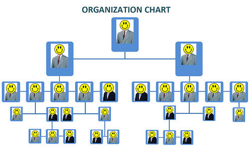 Organization - Wikipedia