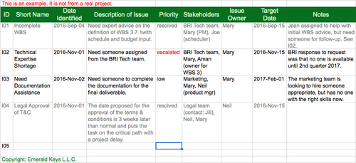 Issue Log - Example