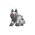 Poochyena, Victory Road Wiki