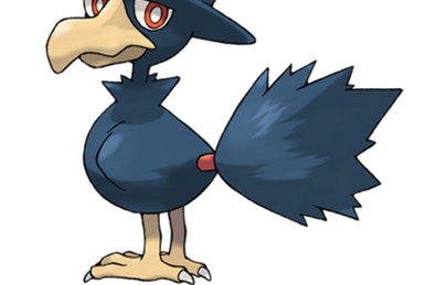 Honchkrow Murkrow Macaw Pokémon Bulbapedia, pokemon, vertebrate