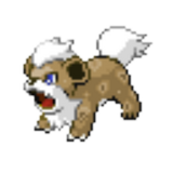 Arctic Growlithe