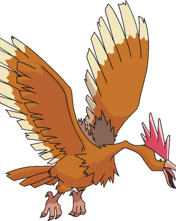 Fearow Project Pokemon Wiki Fandom