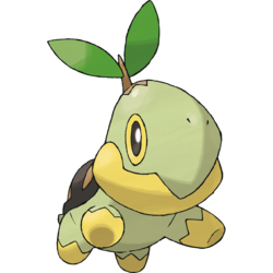 Turtwig, Wiki Pokémon Brasil