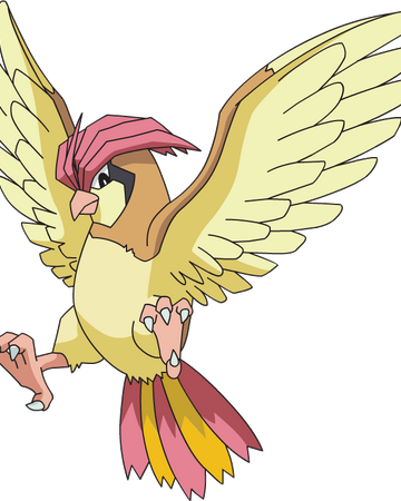 Pidgeotto Project Pokemon Wiki Fandom - roblox project pokemon route 1 birds view