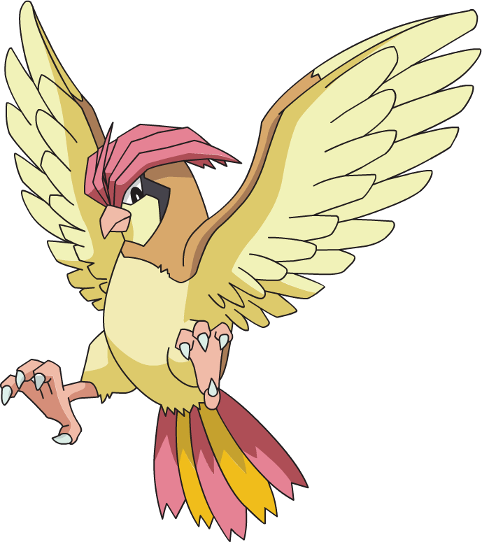 Free: Pidgeotto Pokémon X and Y Pokédex - Pidgeot png download - 600*473   