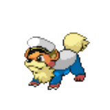 Manly Growlithe