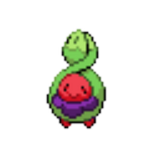 Rose Budew