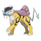 0243 Raikou