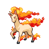 Rapidash