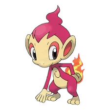 Chimchar