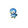 Piplup