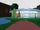 Cerulean Gym