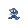 Popplio