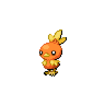 Torchic