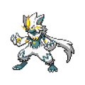 Shiny Zeraora