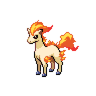 Ponyta