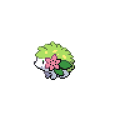 Shaymin