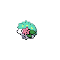 Shiny Shaymin