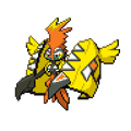 Tapu Koko