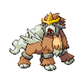 Shiny Entei