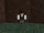 Money Farming