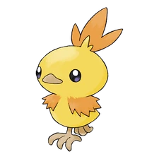 Torchic