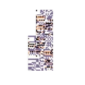 MissingNo.1