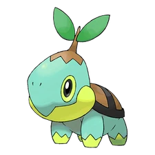 Turtwig