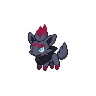 Zorua