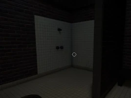 Public Shower | Project Somnia Wiki | Fandom