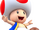 Toad (character)