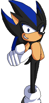 Seelkadoom the Hedgehog, SonicRPG Wiki