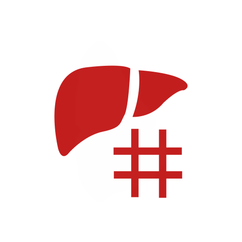 Hepatic fibrosis ProjectHospital Wiki Fandom