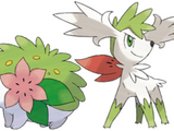 Shaymin