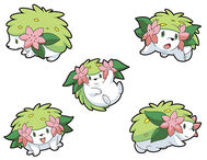 Shaymin's land forme in many views