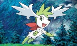 Shaymin (MS011), Pokémon Wiki