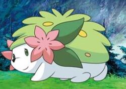 Shaymin/Forme - Pokémon Central Wiki