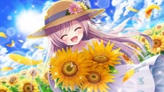 [Blooming with Sunflowers]