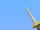 Pirate Short Sword