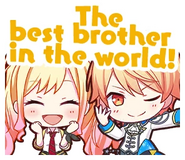 ¡El mejor hermano del mundo!