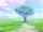 Chalkboard Cherry Blossoms In Bloom/Card Story