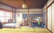 Shiho's room (on the desk and bottom shelves)